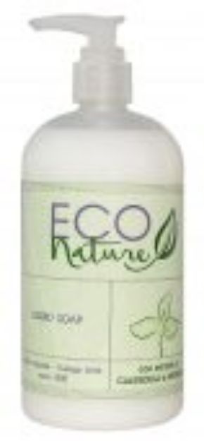 Immagine di ECO NATURE BIO - SAPONE LIQUIDO FLACONE 500ML Cartone 20pz