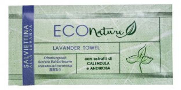 Immagine di ECO NATURE BIO - SALVIETTINA DETERGENTE TNT BUST.6,5X13 Cartone 500pz