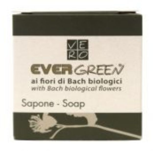 Immagine di EVERGREEN - SAPONE 30GR ASTUCCIO Fiori di Bach Cartone 500pz