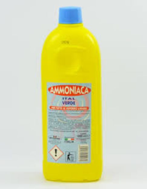 Immagine di AMMONIACA 1000 ML