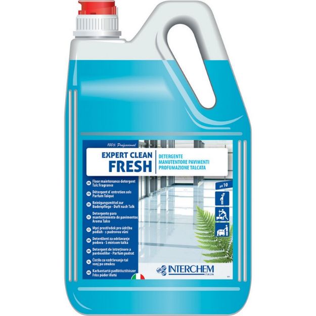 Immagine di EXPERT CLEAN FRESH tanica lt 5